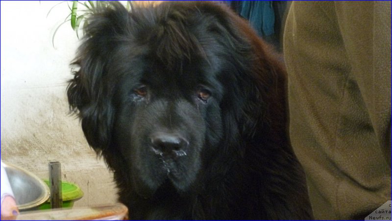 Фотография № 168723