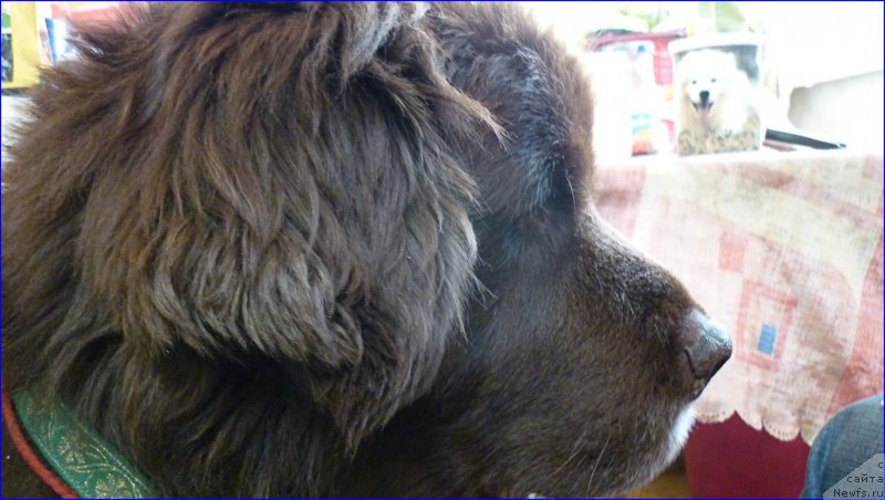 Фотография № 168725