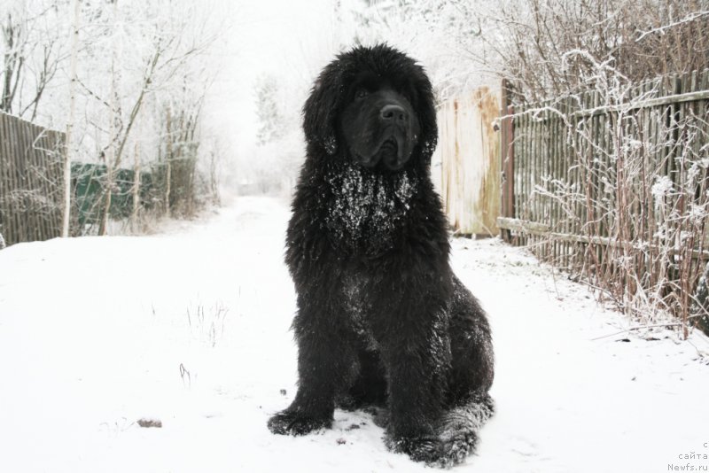 Фотография № 168735