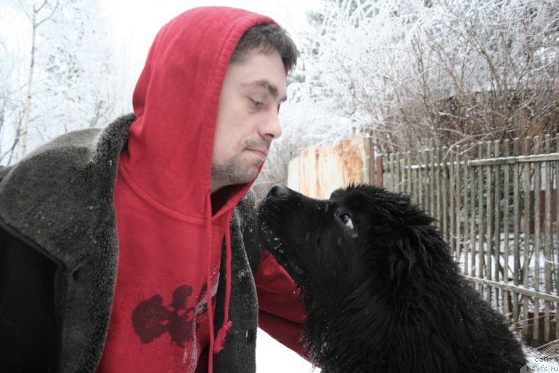 Фотография № 168739