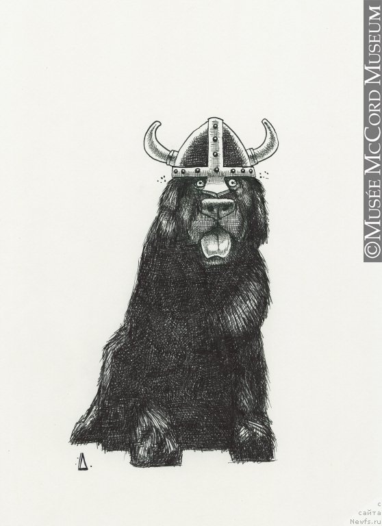 Фотография № 168746