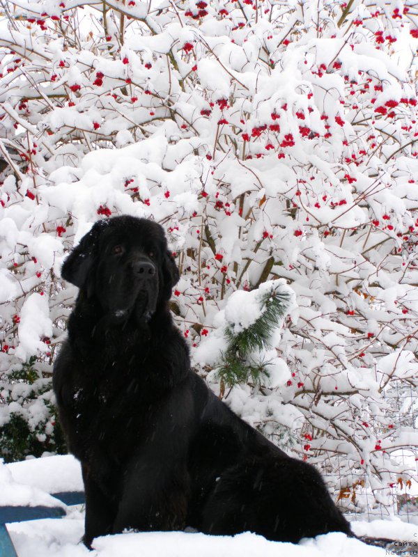 Фотография № 168758