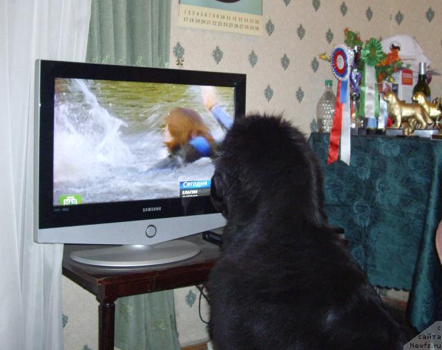 Фотография № 16876