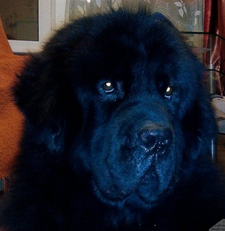 Фотография № 168768