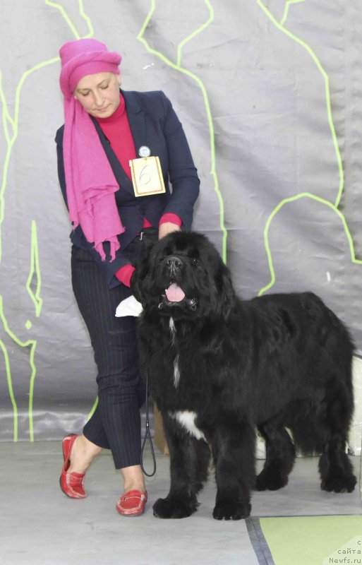 Фотография № 168771