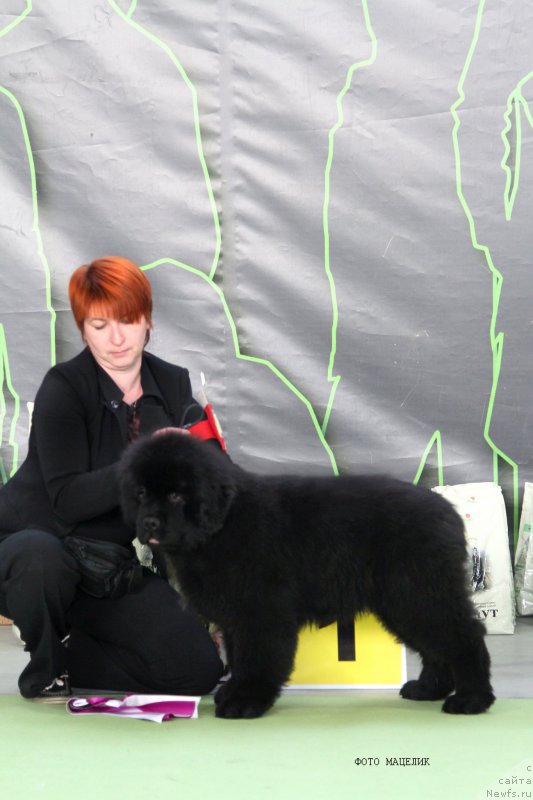 Фотография № 168777