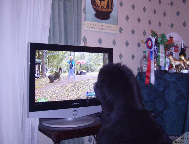 Фотография № 16878