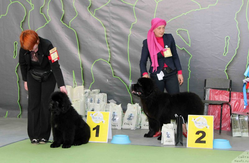 Фотография № 168787