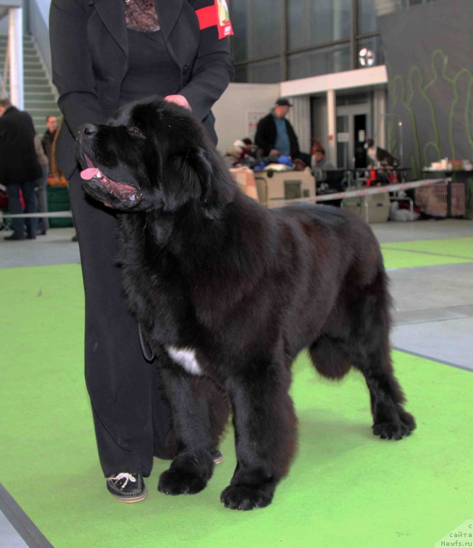 Фотография № 168789