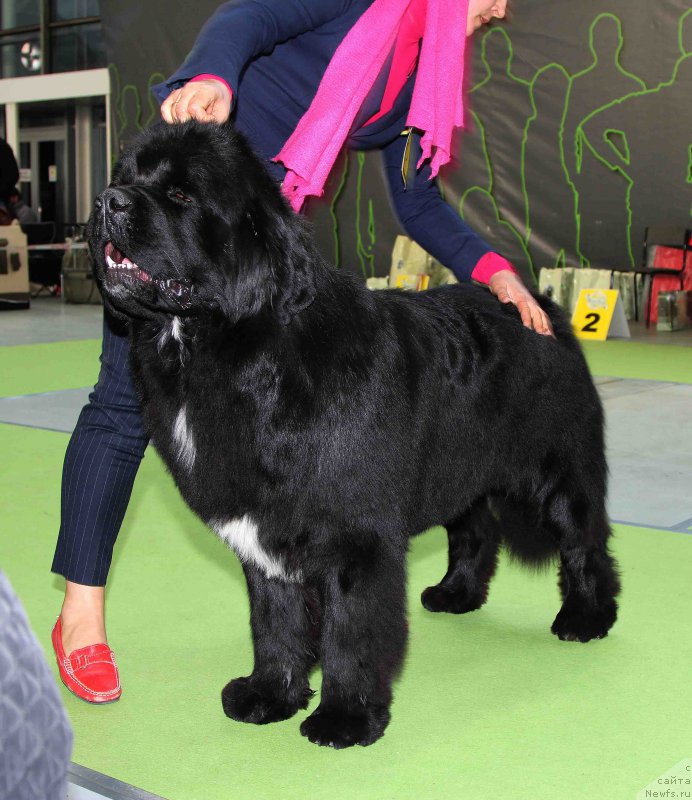 Фотография № 168792