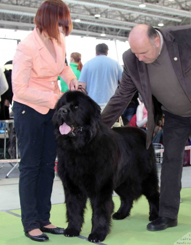 Фотография № 168795