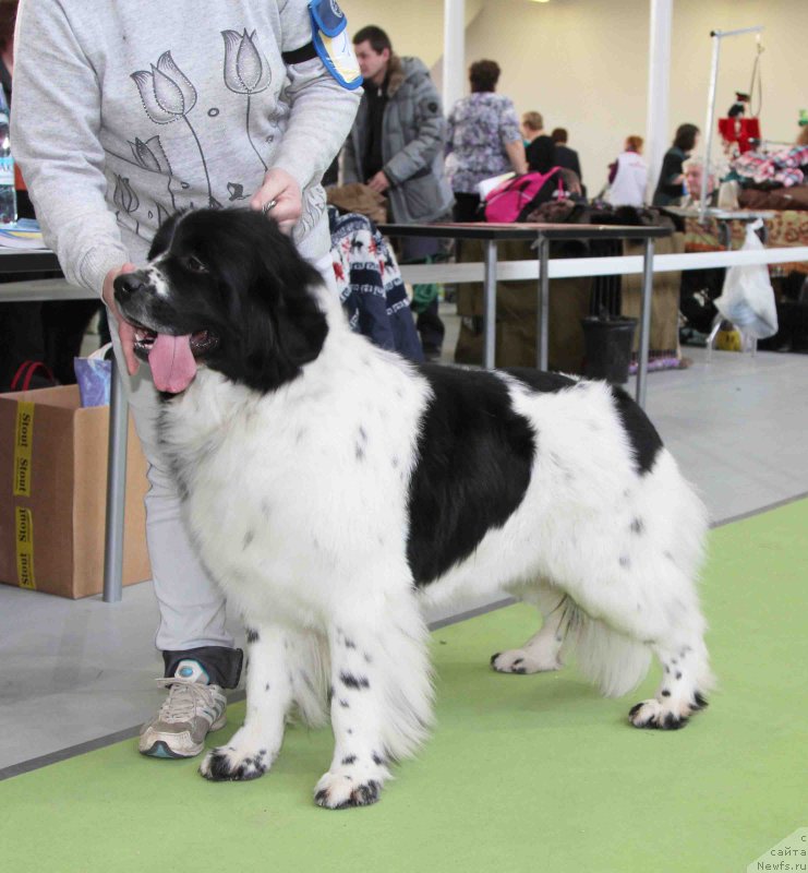 Фотография № 168803