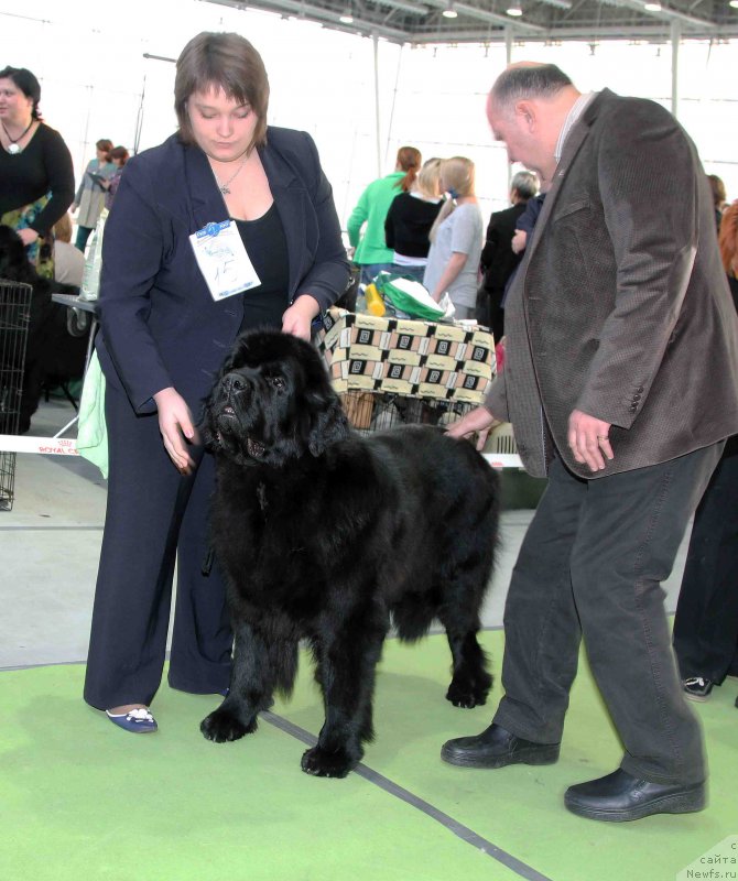 Фотография № 168807