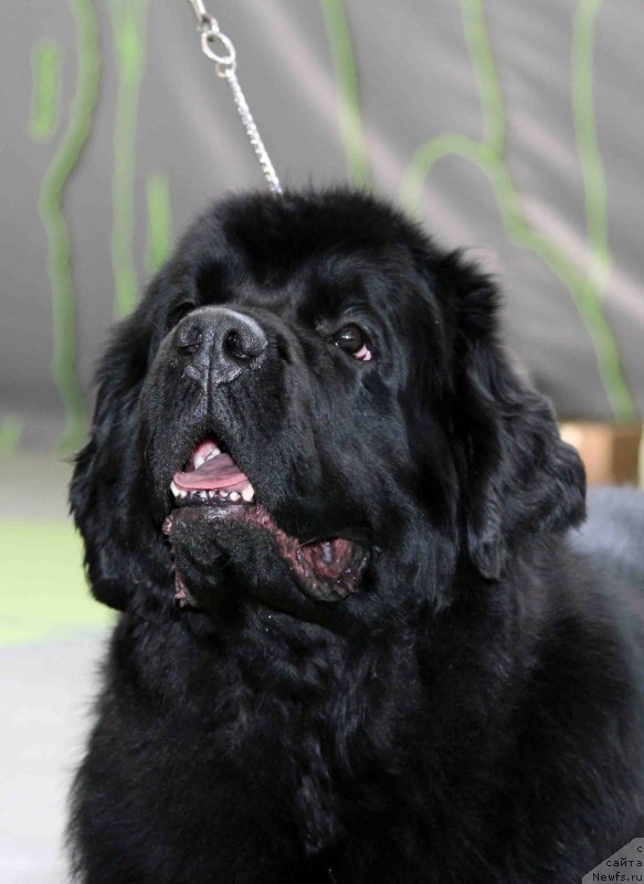 Фотография № 168808