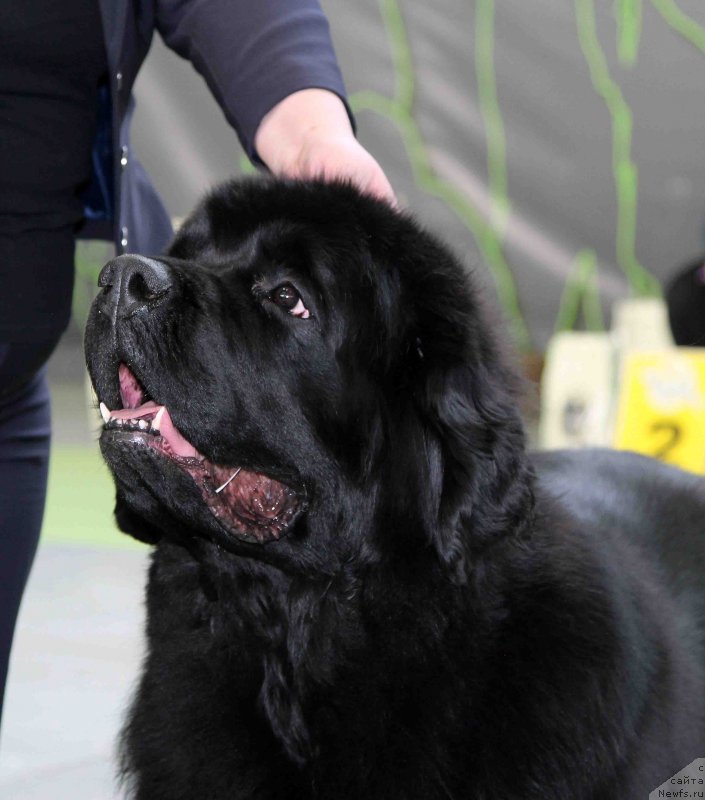 Фотография № 168809