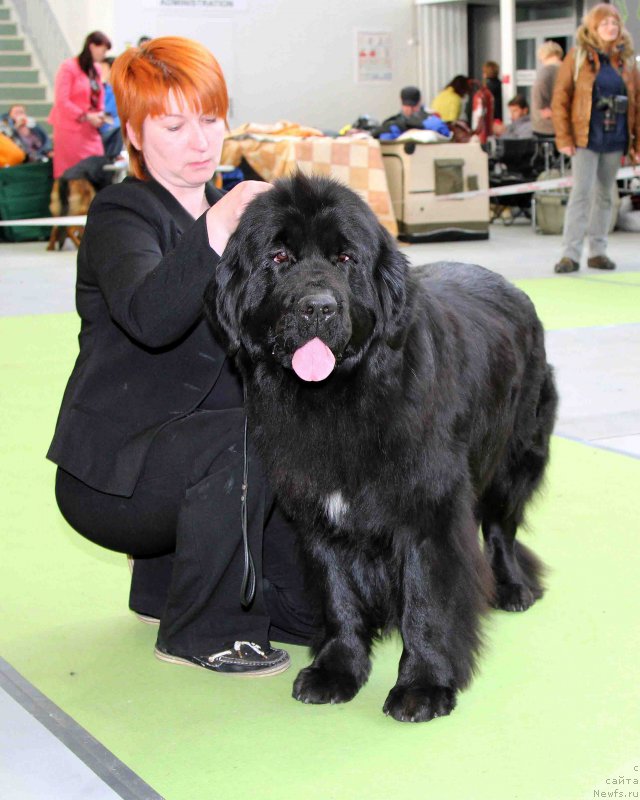 Фотография № 168810