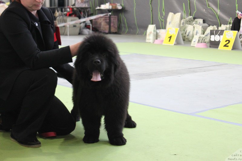 Фотография № 168825