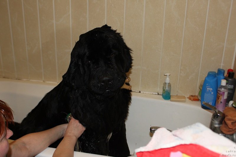 Фотография № 168830