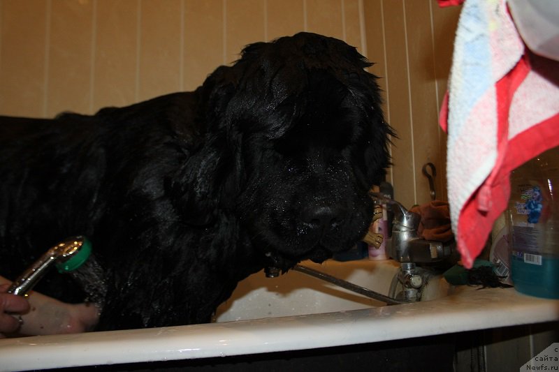 Фотография № 168831