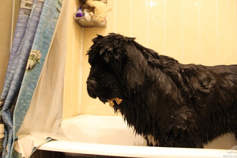 Фотография № 168832