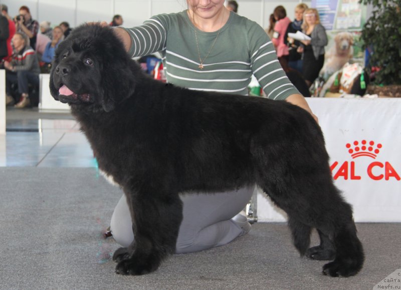 Фотография № 168835