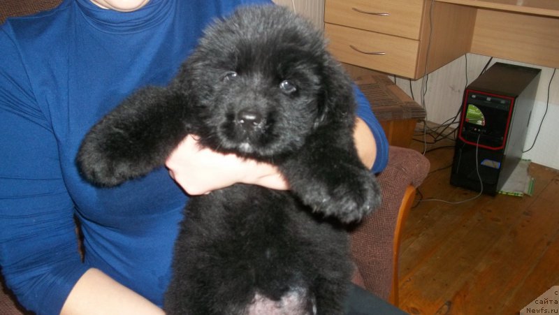 Фото: ДЕТКИ