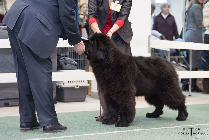 Фотография № 168848