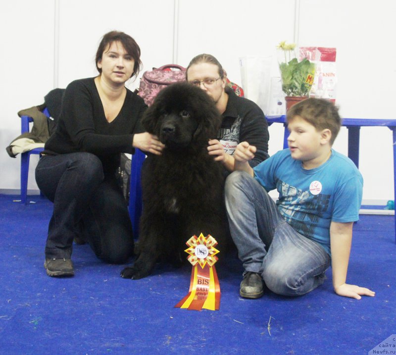 Фотография № 168852