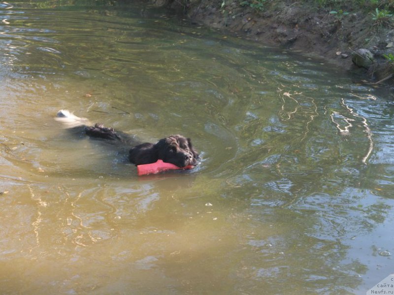 Фотография № 168883