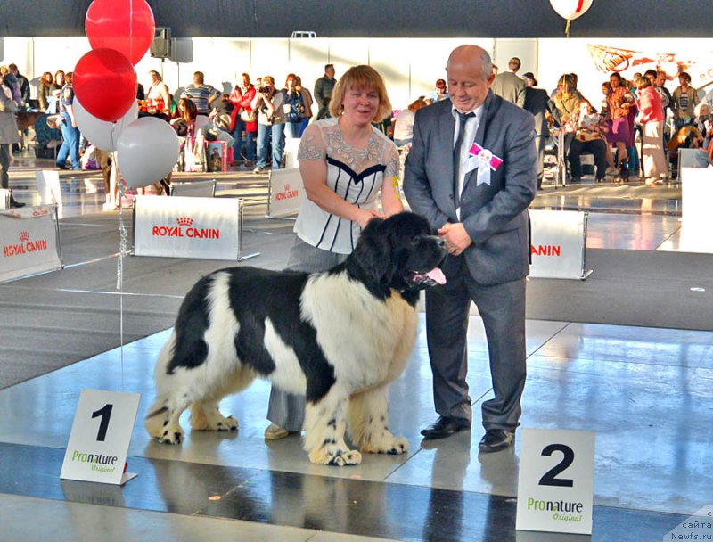 Фотография № 168886