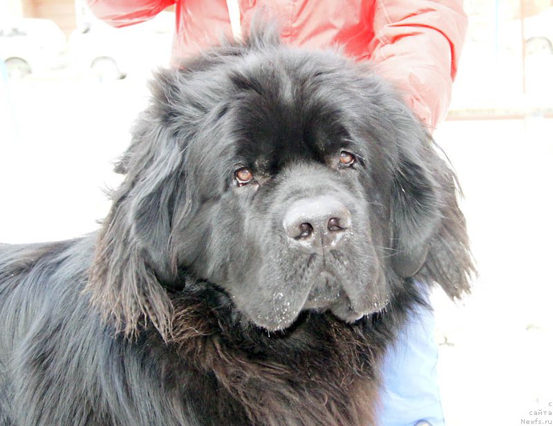 Фотография № 168888