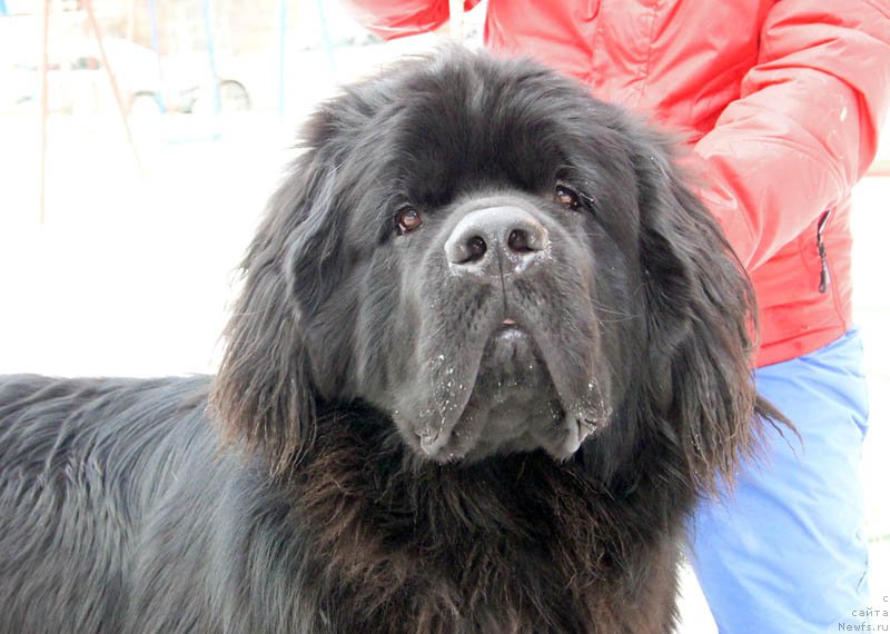 Фотография № 168889