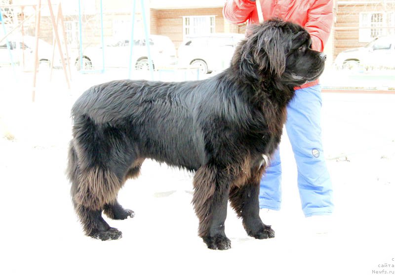 Фотография № 168890