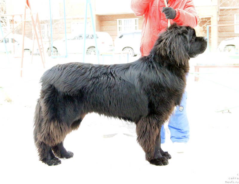 Фотография № 168891