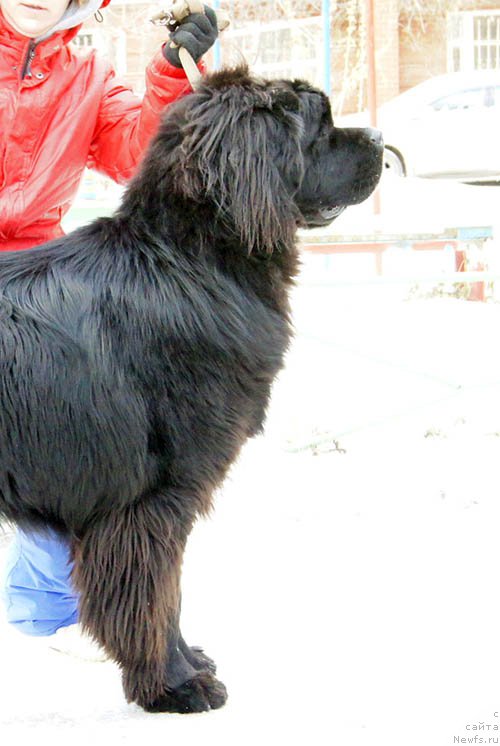 Фотография № 168892