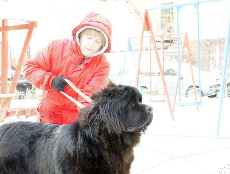 Фотография № 168893