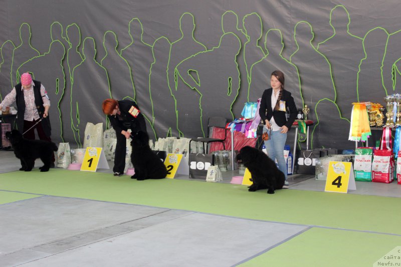 Фотография № 168907