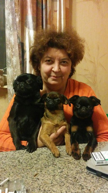 Фотография № 168913