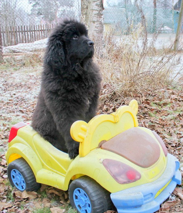 Фотография № 168917