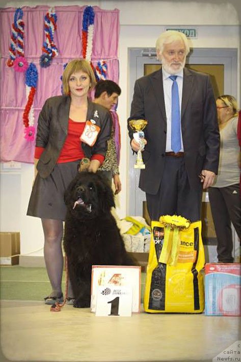 Фотография № 169061