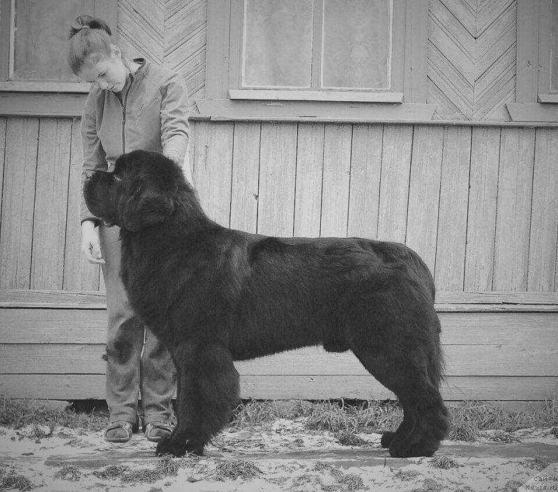 Фотография № 169062