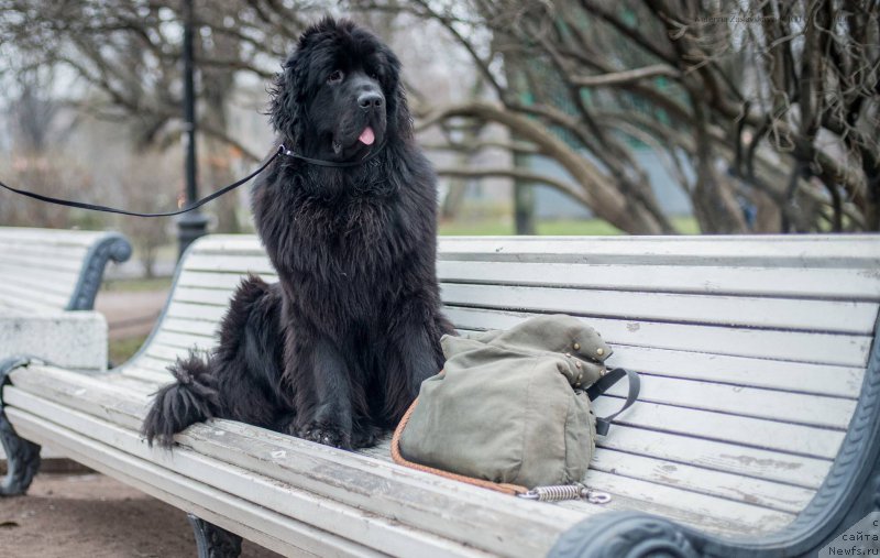 Фотография № 169063