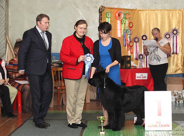 Фотография № 169088