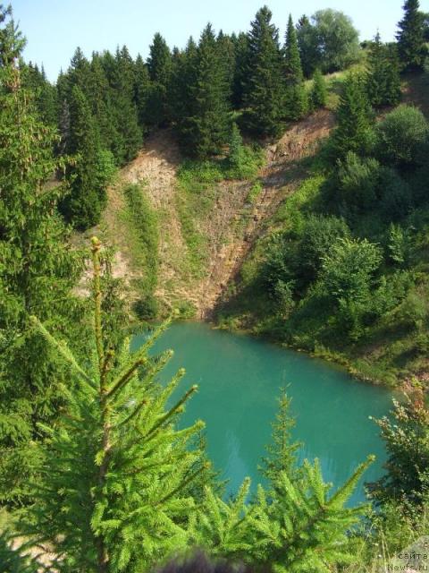 Фотография № 16909