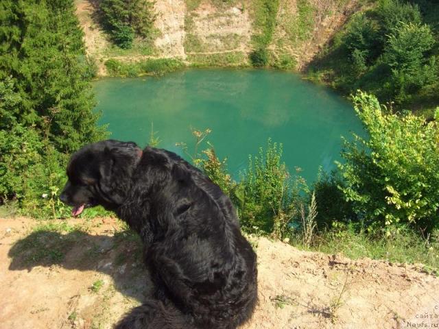 Фотография № 16910