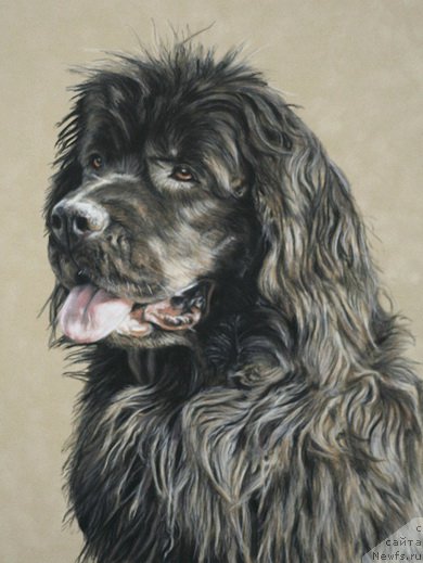 Фотография № 169104