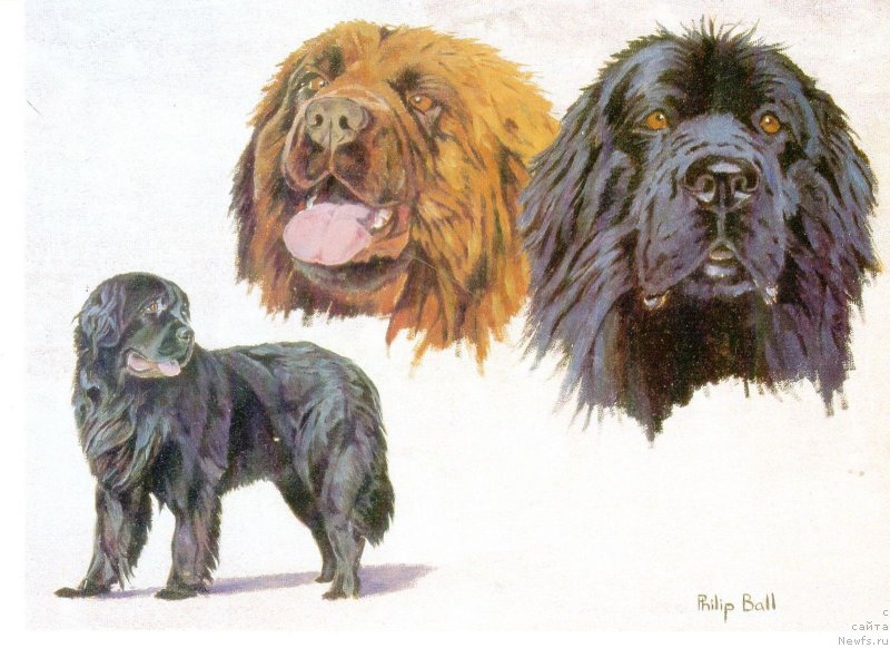 Фотография № 169105