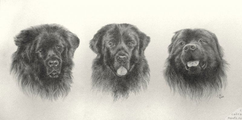 Фотография № 169107