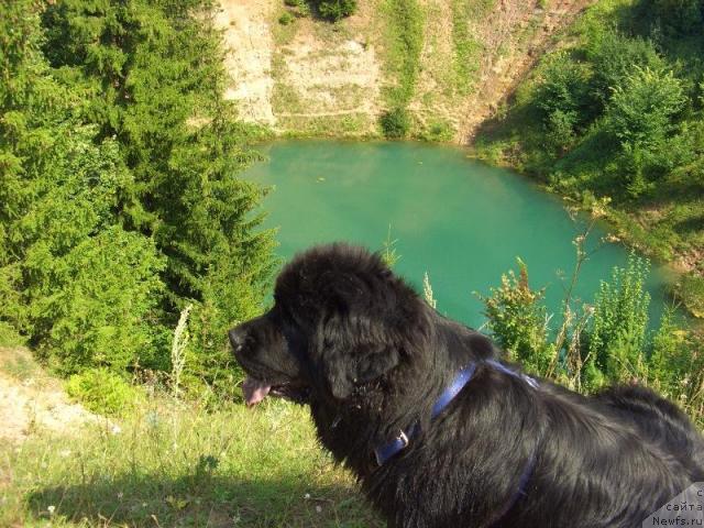 Фотография № 16911