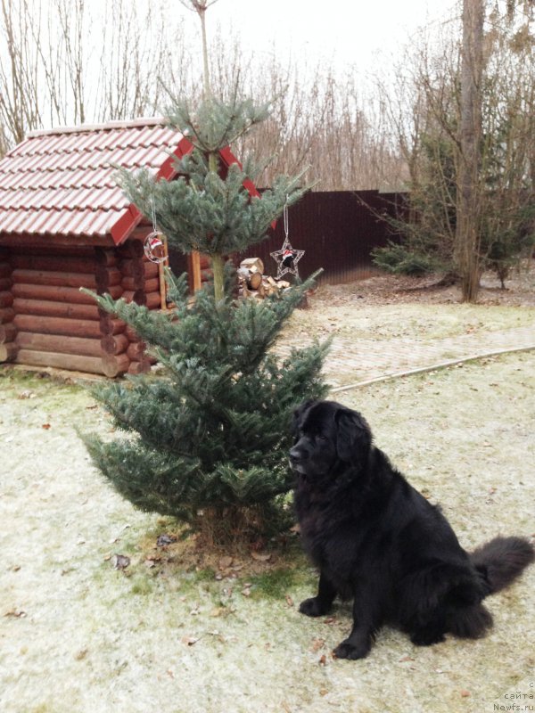 Фотография № 169127